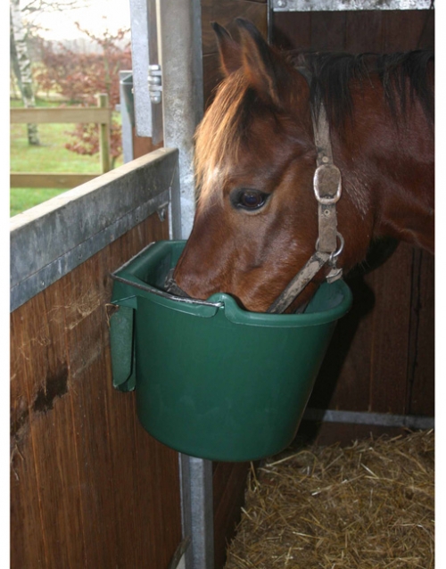 Horse drinking from flatsided bucket