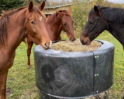 Igloo Feed Ring 671 672