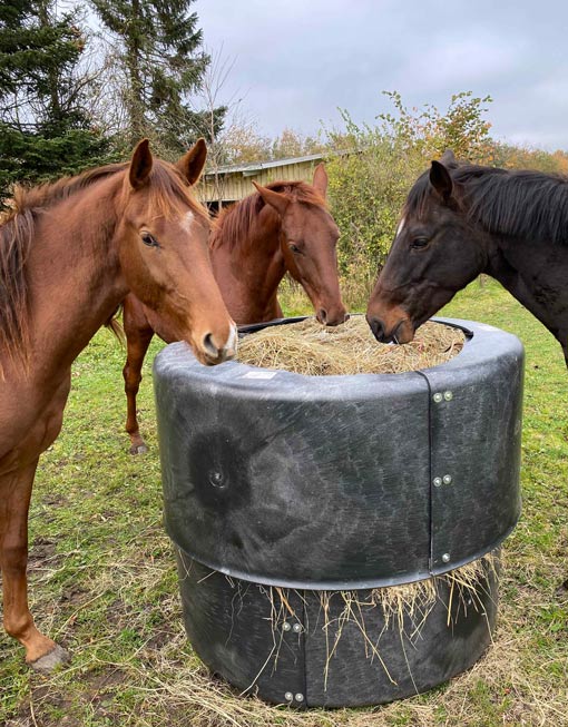 Igloo Feed Ring 671 672